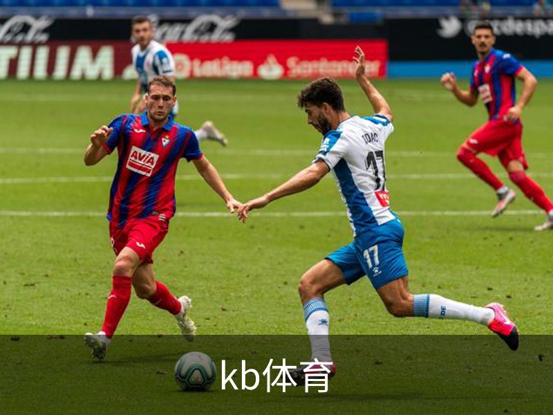 关于kb体育